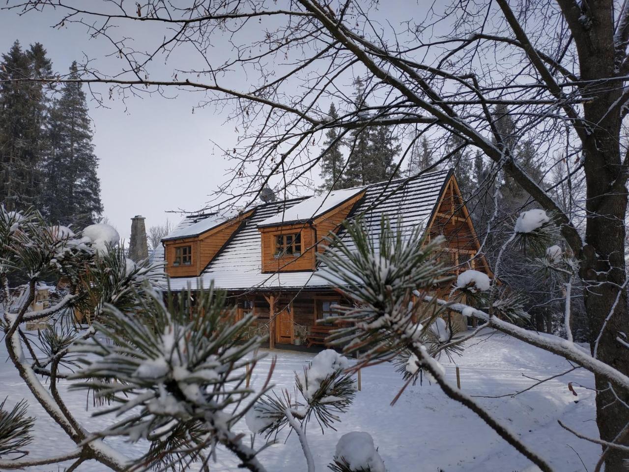 Chata Baba Yaga Zdiar Bagian luar foto